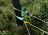 صورة حبل قلص Tree Trunk Protectorss