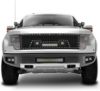 صورة شبك فورد  F150 2010-2014