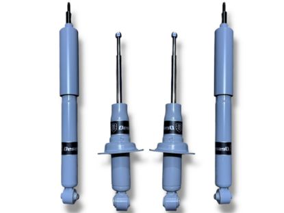 صورة جامبين ديزيرت لايون نيسان باترول Y62 ( 2010 - 2022 )