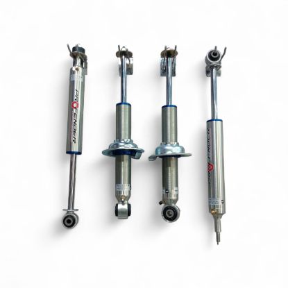 صورة جامبين بروفندر نيسان باترول Y63 ( 2022 - 2026 )